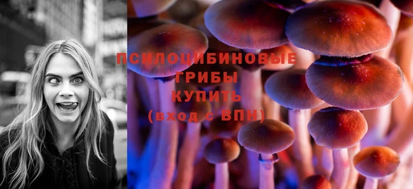 герыч Алексин